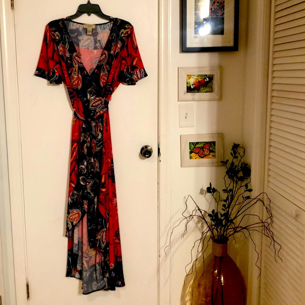 Flying Tomato Anthropologie wrap dress